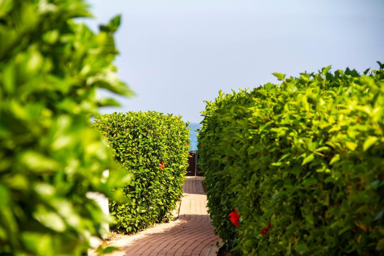 Atlantis Gardens Διαμέρισμα Μαζωτός Εξωτερικό φωτογραφία